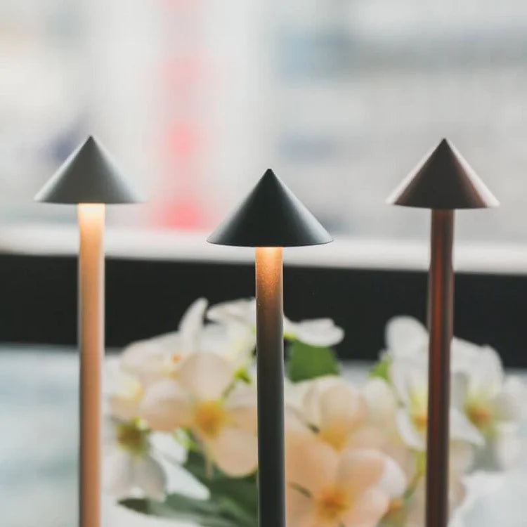 Portable Wireless Table Lamp with Adjustable Brightness