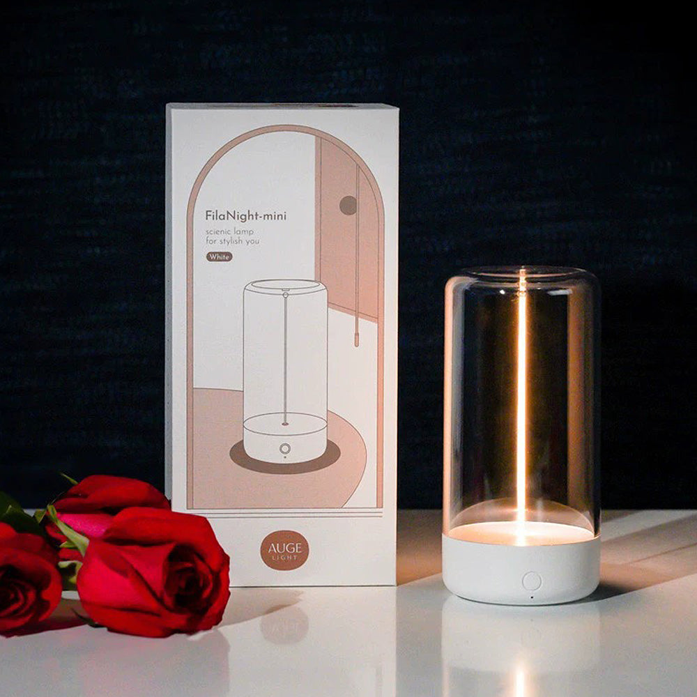 Rechargeable LED Table Lamp with Touch Control