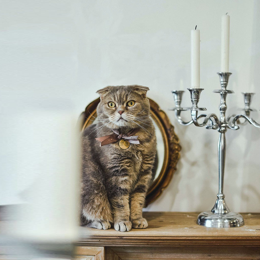 Gold and Silver Metal Candelabra for 5 Candles